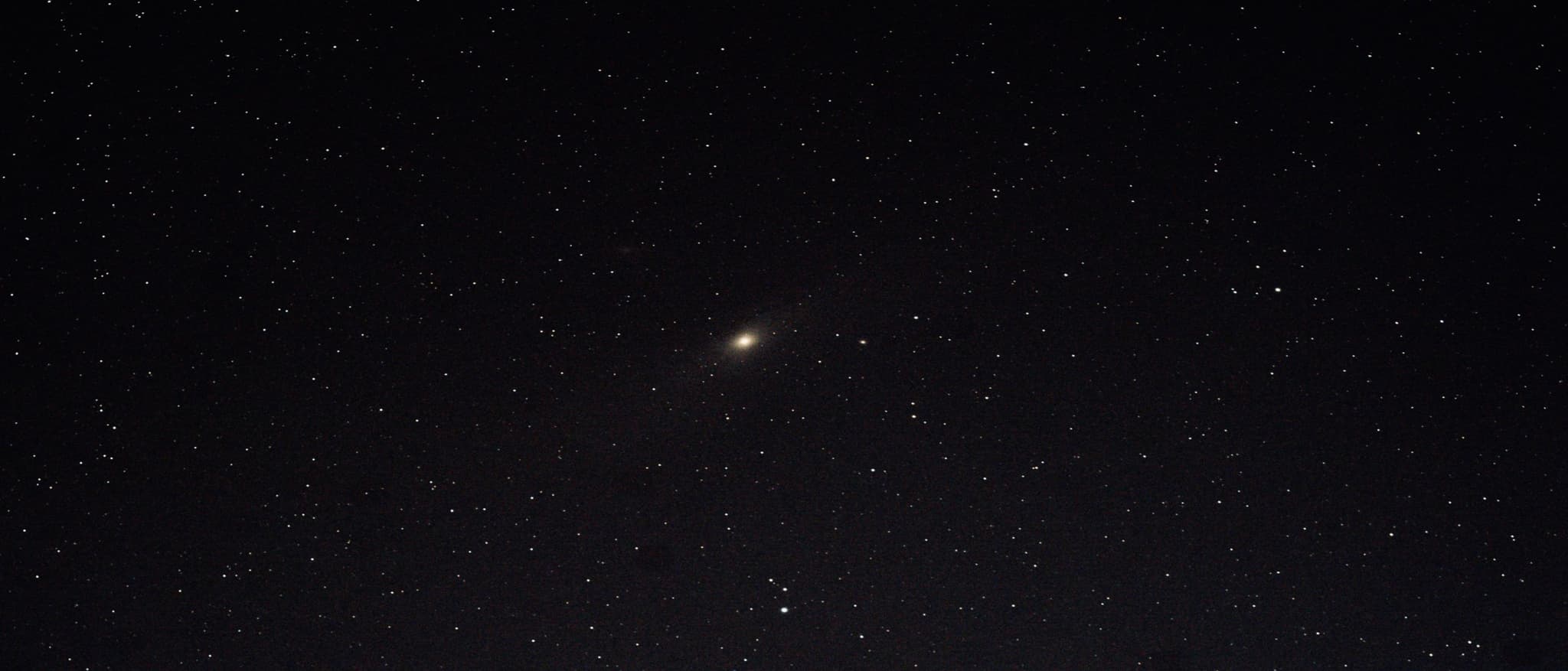 M31