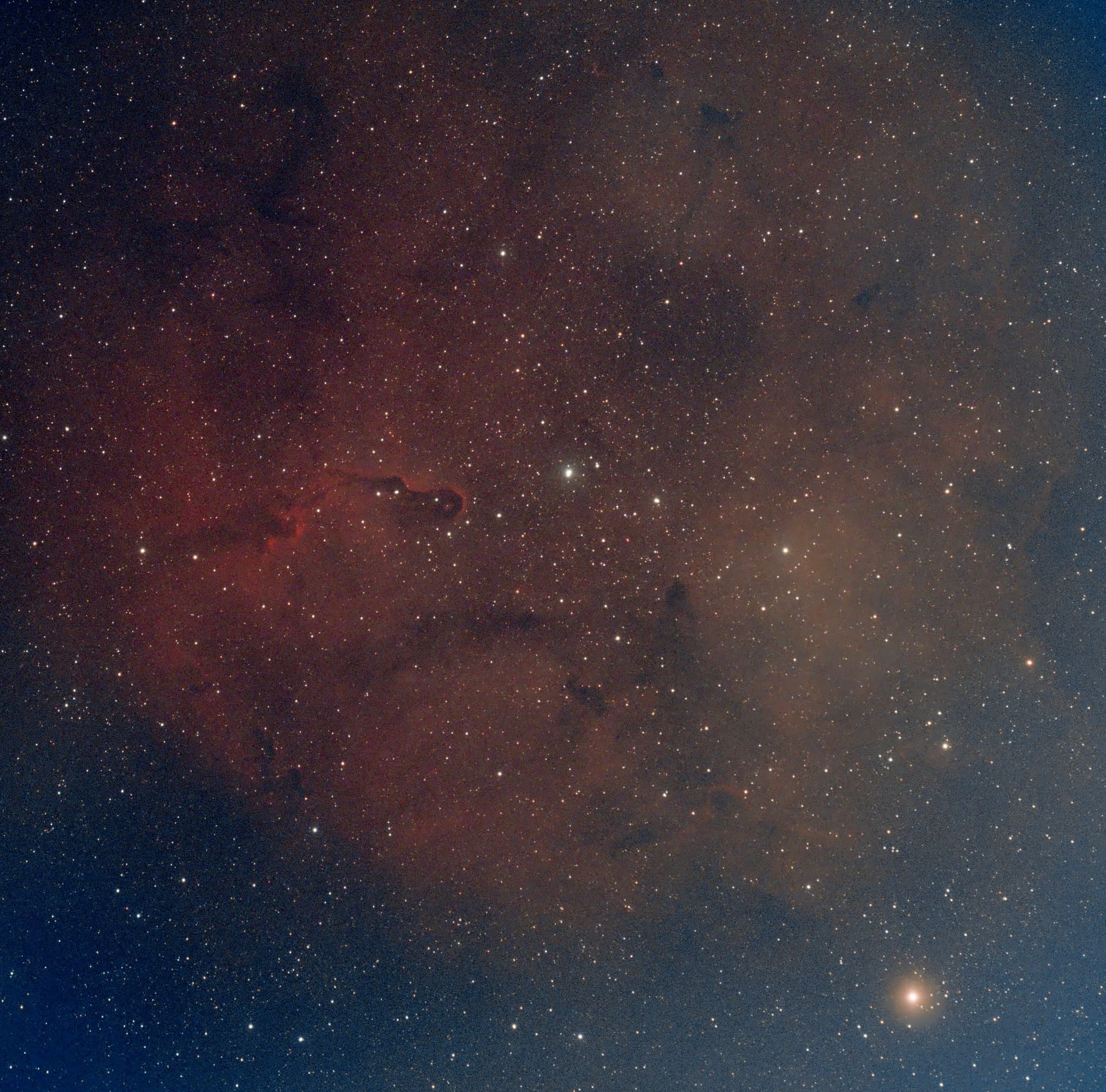IC1396